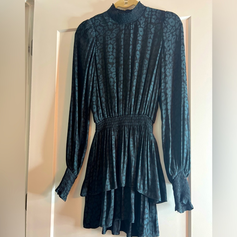 Cheetah blue dress